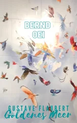 Bernd Oei - Gustave Flaubert - Goldenes Meer