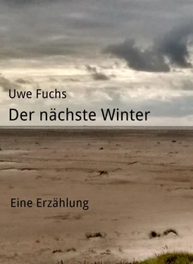 Uwe Fuchs Der nächste Winter обложка книги