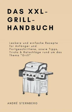 André Sternberg Das XXL-GRILL-HANDBUCH обложка книги