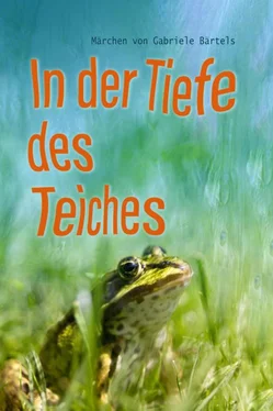 Gabriele Bärtels In der Tiefe des Teiches обложка книги
