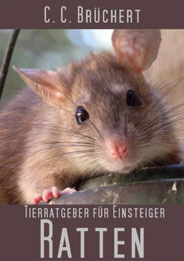 C. C. Brüchert Tierratgeber für Einsteiger - Ratten обложка книги