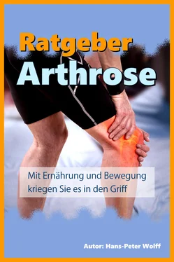 Hans-Peter Wolff Ratgeber Arthrose обложка книги