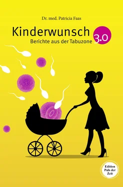 Patricia Faas Kinderwunsch 3.0. Berichte aus der Tabuzone обложка книги