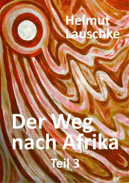 Helmut Lauschke Der Weg nach Afrika обложка книги