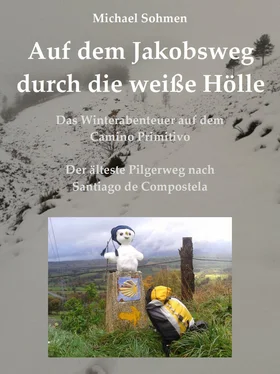 Michael Sohmen Auf dem Jakobsweg durch die weiße Hölle обложка книги