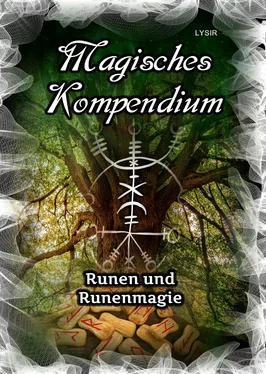 Frater LYSIR Magisches Kompendium - Runen und Runenmagie обложка книги