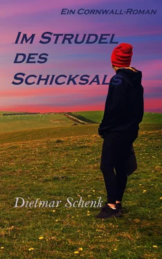 Dietmar Schenk Im Strudel des Schicksals обложка книги