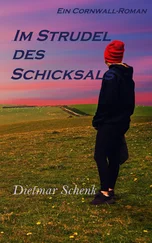 Dietmar Schenk - Im Strudel des Schicksals