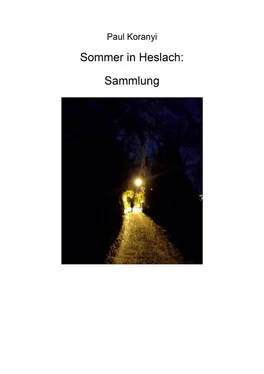 Paul Koranyi Sommer in Heslach обложка книги