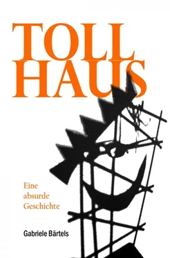 Gabriele Bärtels Tollhaus обложка книги