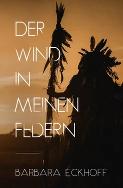 Barbara Eckhoff Der Wind in meinen Federn обложка книги