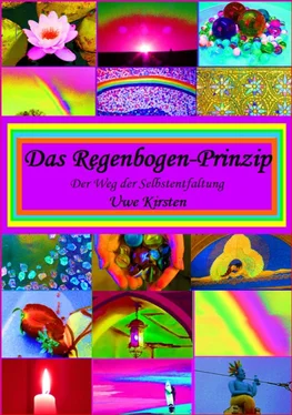 U. Kirsten Das Regenbogen - Prinzip обложка книги