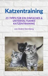 André Sternberg - Katzentraining