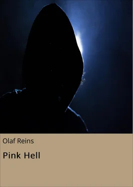 Olaf Reins Pink Hell обложка книги