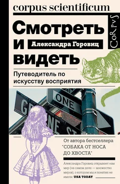 Александра Горовиц Смотреть и видеть. Путеводитель по искусству восприятия обложка книги