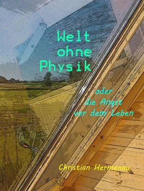 Christian Hermenau Welt ohne Physik oder die Angst vor dem Leben обложка книги
