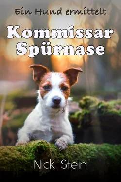 Nick Stein Kommissar Spürnase обложка книги