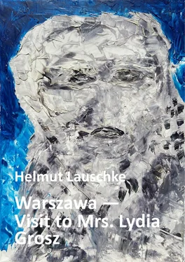 Helmut Lauschke Warszawa - Visit to Mrs. Lydia Grosz обложка книги