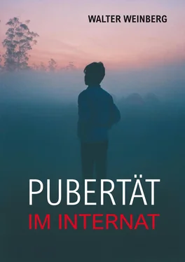 Walter Weinberg PUBERTÄT обложка книги