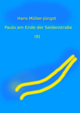 HaMuJu Paulo am Ende der Seidenstraße (8) обложка книги