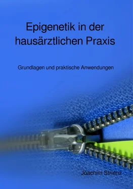 Joachim Strienz Epigenetik in der hausärztlichen Praxis обложка книги