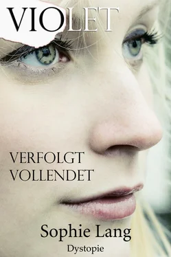 Sophie Lang Violet - Verfolgt / Vollendet - Buch 6-7 обложка книги