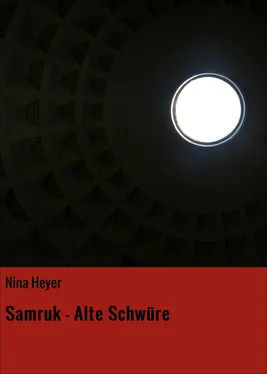 Nina Heyer Samruk - Alte Schwüre обложка книги