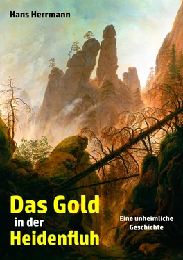 Hans Herrmann Das Gold in der Heidenfluh обложка книги