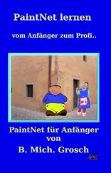 Bernd Michael Grosch - PaintNet lernen