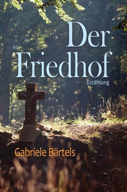 Gabriele Bärtels Der Friedhof обложка книги