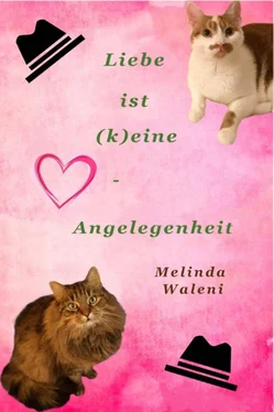 Melinda Waleni Liebe ist (k)eine Herzensangelegenheit обложка книги