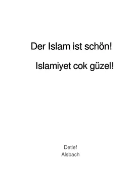 Detlef Alsbach Der Islam ist schön! обложка книги