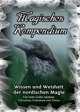 Frater LYSIR Magisches Kompendium – Wissen und Weisheit der nordischen Magie обложка книги