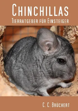 C. C. Brüchert Tierratgeber für Einsteiger - Chinchillas обложка книги