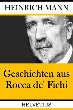 Heinrich Mann Geschichten aus Rocca de' Fichi обложка книги