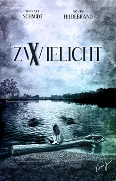 Michael Schmidt Zwielicht 10 обложка книги