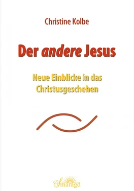 Christine Kolbe Der andere Jesus обложка книги
