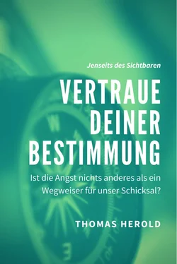 Thomas Herold Vertraue Deiner Bestimmung - Ist die Angst nichts anderes als ein Wegweiser für unser Schicksal? обложка книги