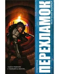 Мэттью Фаррер - Перехламок