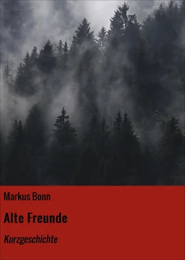 Markus Bonn Alte Freunde обложка книги