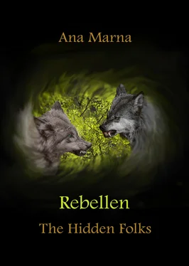 Ana Marna Rebellen обложка книги