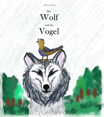 Nancy Omreg Der Wolf und der Vogel обложка книги