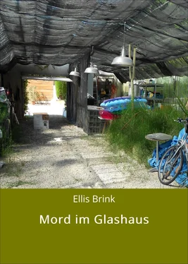 Ellis Brink Mord im Glashaus обложка книги