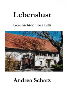 Andrea Schatz Lebenslust обложка книги