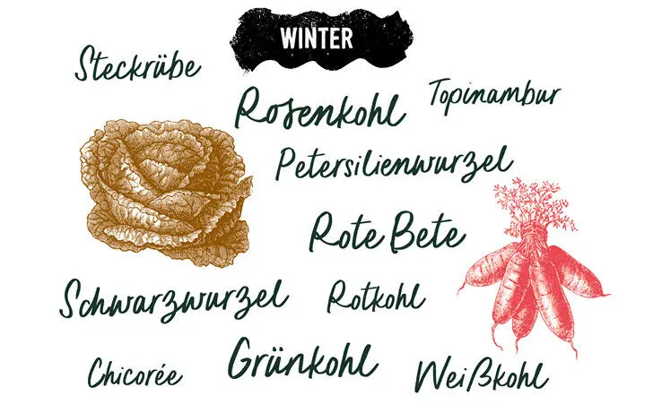 Du bist was du isst Je besser du dich mit Ernährung und Lebensmitteln - фото 13