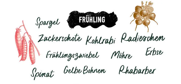 KOCHBUCH FÜR STUDENTEN - фото 10