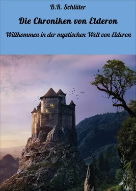 B.R. Schlüter Die Chroniken von Elderon обложка книги