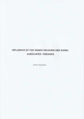 Elena Tschumak - Influence of FOX genes on aging and aging-associated diseases