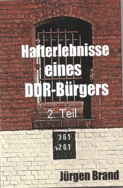 Jürgen Brand Hafterlebnisse eines DDR-Bürgers 2. Teil обложка книги