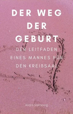 André Sternberg Der Weg der Geburt обложка книги